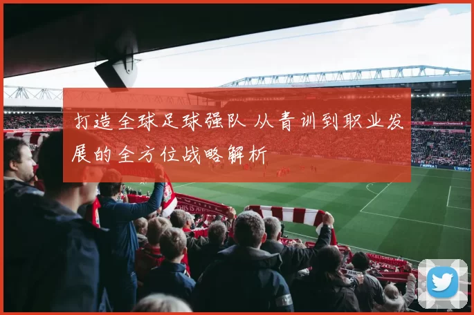 打造全球足球强队 从青训到职业发展的全方位战略解析
