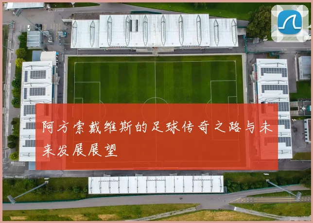 阿方索戴维斯的足球传奇之路与未来发展展望